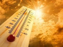 Beating the heatwave – thermal comfort in housing