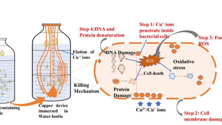 Researchers develop Copper-based low-cost water purification device