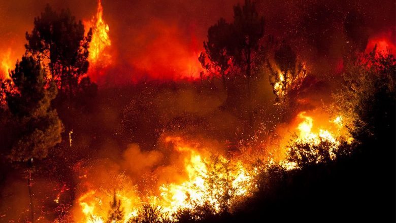 बढ़ते तापमान की गिरफ्त में उत्तरी गोलार्ध, बढ़ रहा गर्मी, लू और दावाग्नि का जोखिम