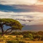 Africa’s Environment 2023 report
