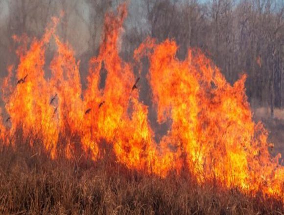 वायु प्रदूषण: सही कारण का हल ही करेगा नियंत्रण