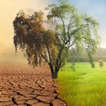 उपजाऊ भूमि को मरुस्थल होने से बचाना होगा