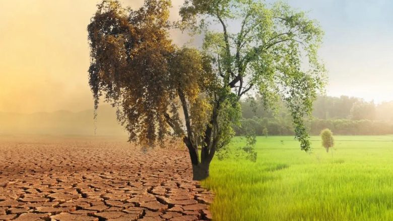 उपजाऊ भूमि को मरुस्थल होने से बचाना होगा